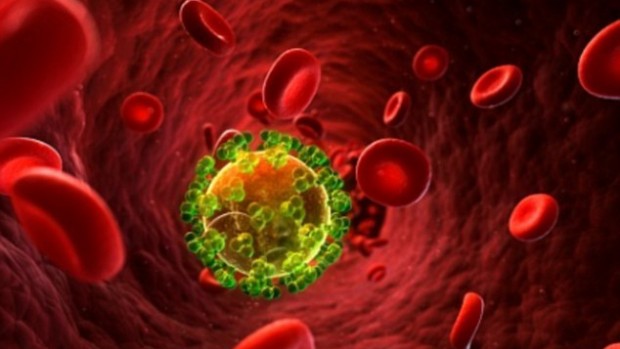 Новая комбинация лекарственных средств поможет устранить ВИЧ