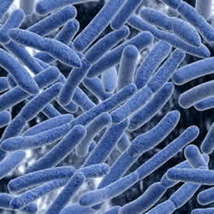 ВОЗ обновила список самых опасных супербактерий в мире