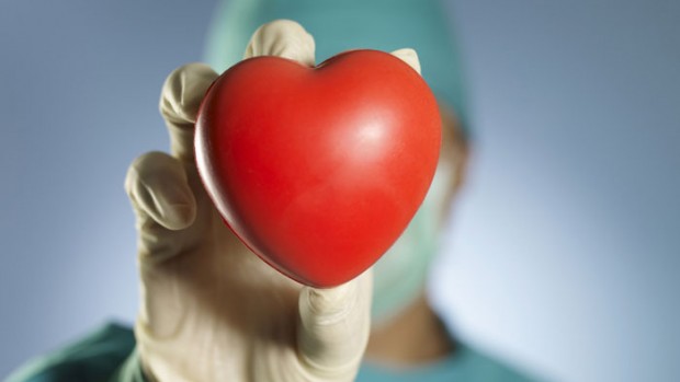 Противораковое средство может способствовать регенерации сердечной ткани