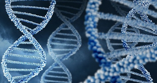 Ученые выявили 18 новых генов, связанных с аутизмом