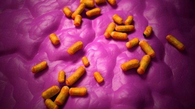 Высокие уровни безвредных бактерий в матке могут сократить шансы забеременеть