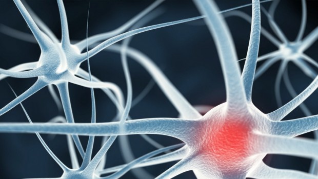 Болезнь Альцгеймера и болезнь Паркинсона связаны с дефектными клетками мозга