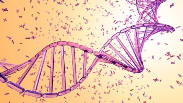 Медики выяснили, как изменять гены для устранения неизлечимых заболеваний
