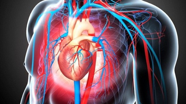 «Хороший» холестерин не всегда может защитить от болезней сердца