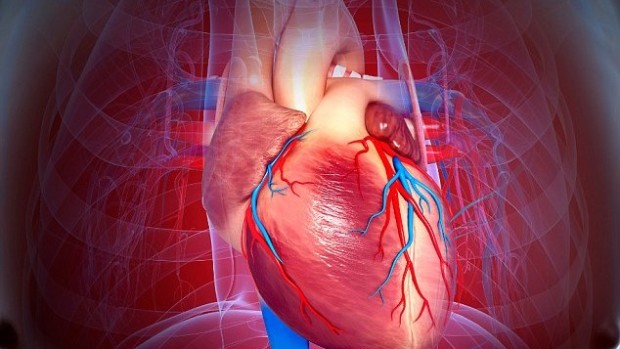 Каждый сотый человек имеет ген, связанный со смертельной болезнью сердца