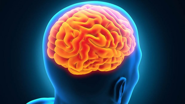 Медики рассказали о простом способе диагностики сотрясения мозга
