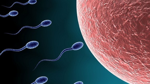 Мужские оральные контрацептивы стали на шаг ближе к реальности