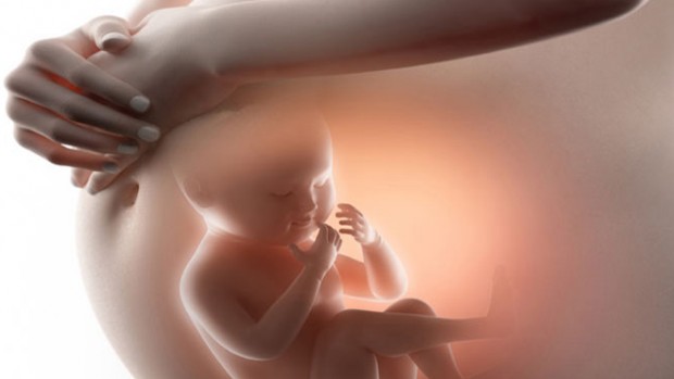 Среда в утробе матери может влиять на развитие мозга ребенка