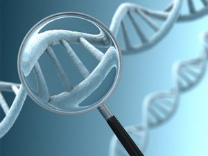 Китайцы начали лечить рак, модифицируя ДНК человека