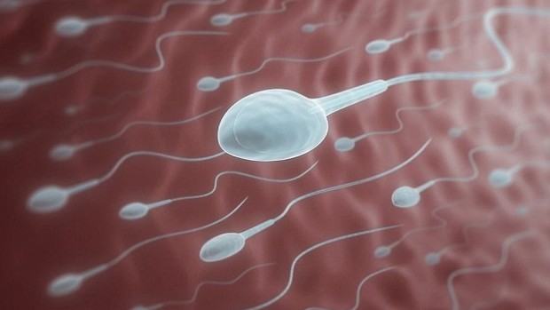 Инъекции, уменьшающие количество сперматозоидов, надежно защищают от беременности