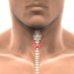 13907 Степени увеличения щитовидной железы