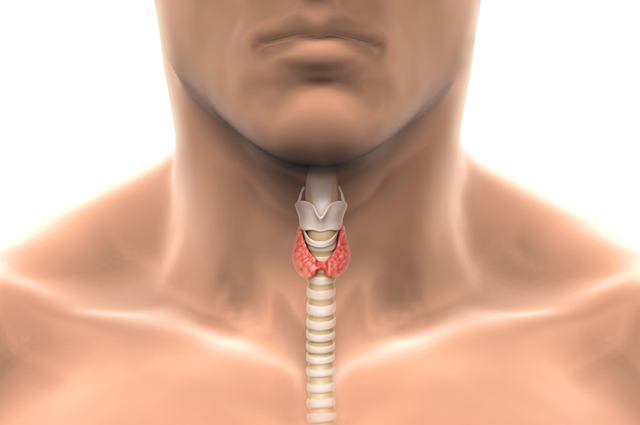 Степени увеличения щитовидной железы