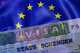 Основные разновидности шенгенской визы