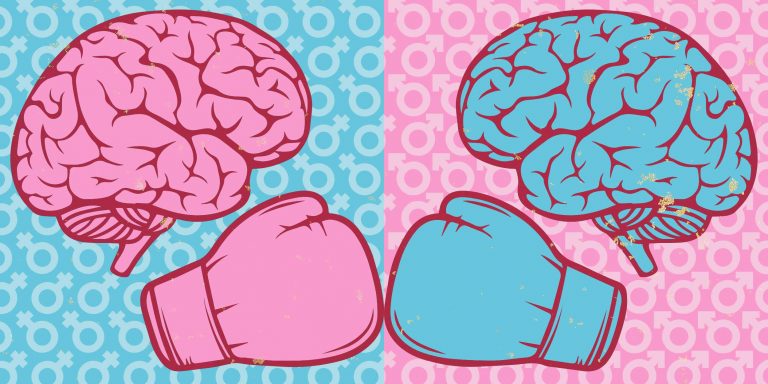 Чем различается мужской и женский мозг и на что это влияет