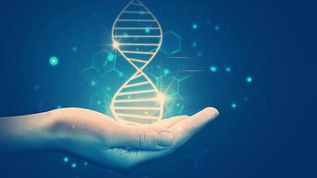 Эксперты научились определять, на ком женится мужчина, используя его ДНК