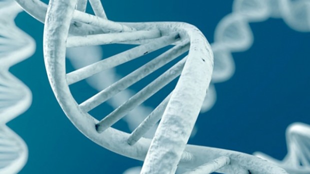Гены могут по-разному функционировать в зависимости от возраста человека