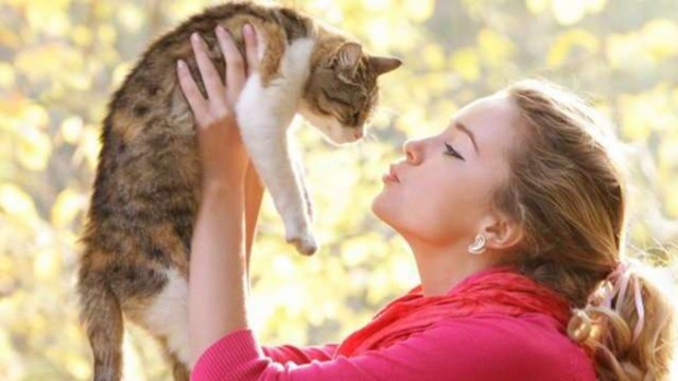 Кошки помогают улучшить качество сна у человека