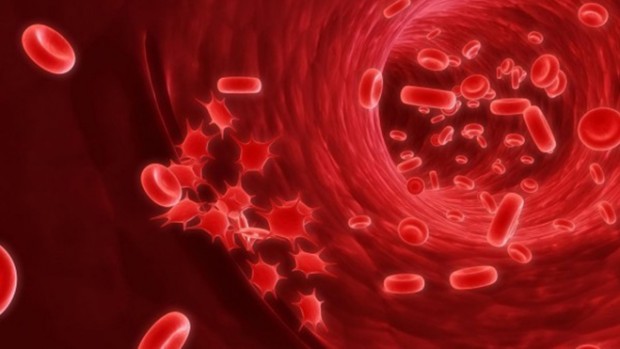 Люди с четвертой группой крови чаще других болеют слабоумием