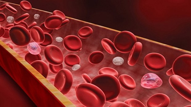 Специалисты нашли новый способ, помогающий анализировать кровь человека