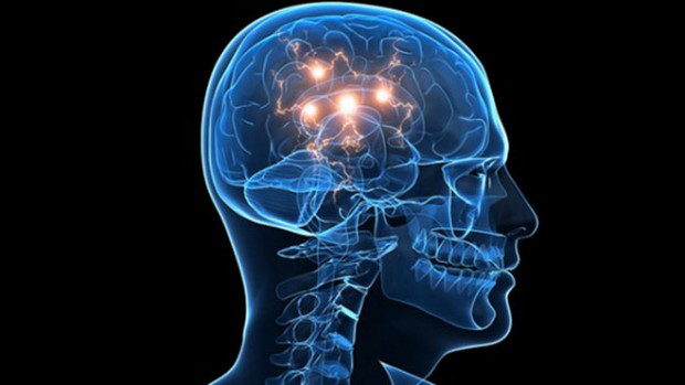 Специалисты из Канады разработали гаджет, помогающий определять мозговую активность у людей