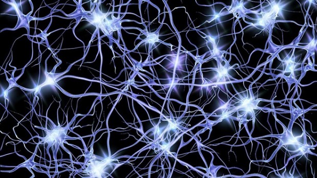 Нейронная сеть помогает определять возраст человеческого мозга, основываясь на данных МРТ
