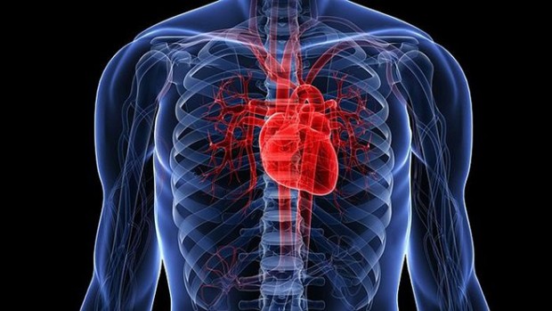 Болезни сердца могут навредить деятельности головного мозга